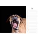 HundeSinn Kalender "Einfach Hund" DIN A3