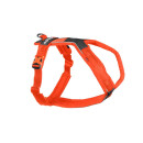 Non-stop dogwear Line Harness 5.0 2 orange