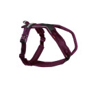 Non-stop dogwear Line Harness 5.0 4 purple