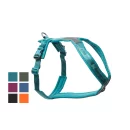 Non-stop dogwear Line Harness 5.0 2 teal