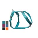 Non-stop dogwear Line Harness 5.0 5 teal